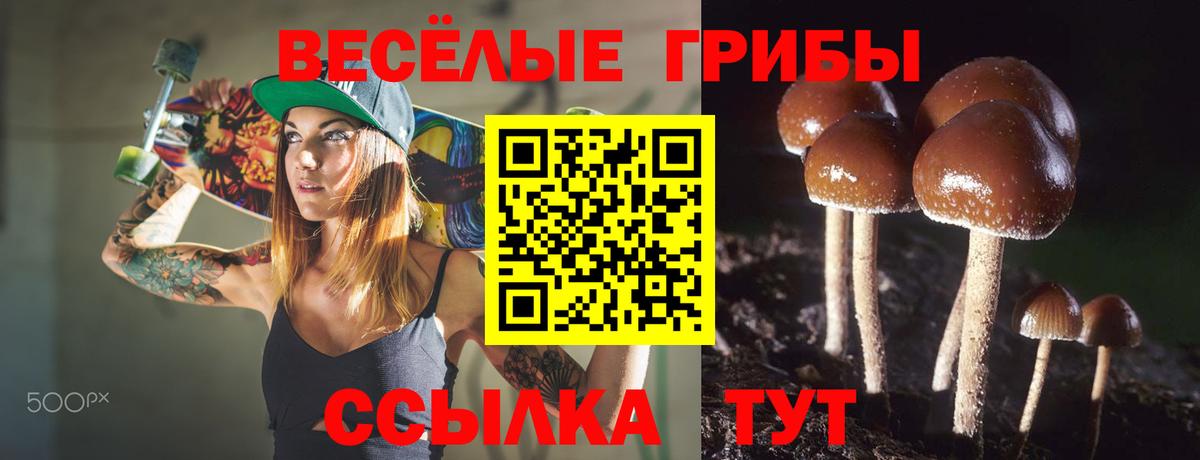 Псилоцибиновые грибы Cubensis  Вход с VPN  купить наркотик  Шумерля 