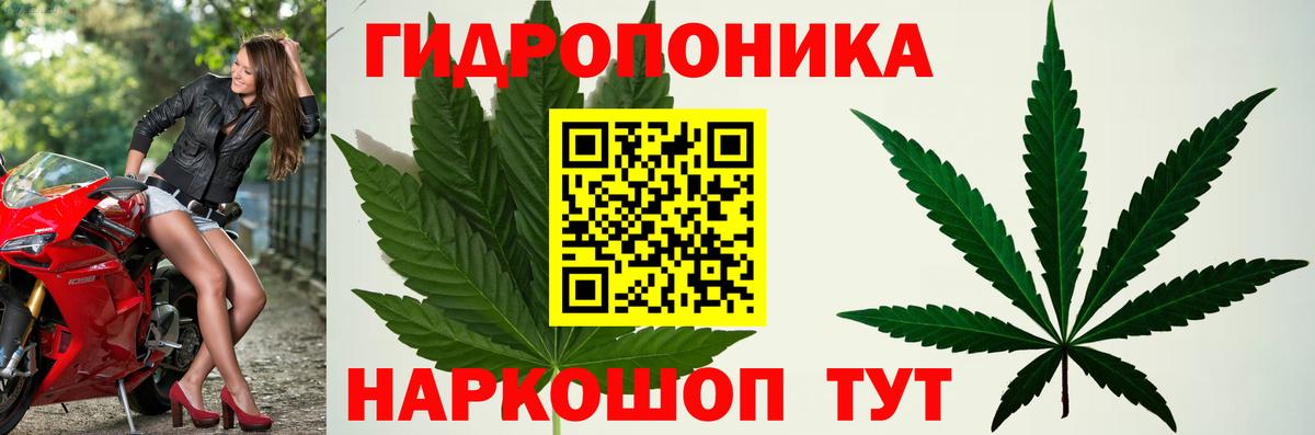 Бошки марихуана марихуана  Конопля план  Шумерля  Конопля White Widow  Конопля SATIVA & INDICA  Вход с VPN 
